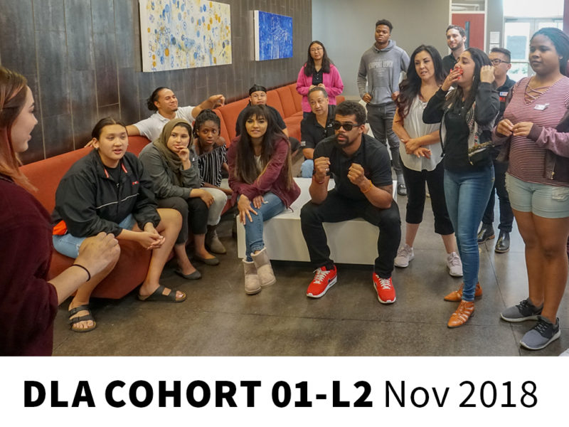 DLA Cohort 01-L2 Nov 2018
