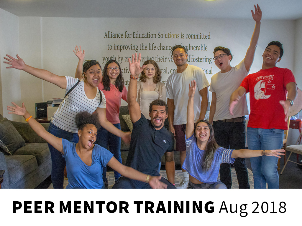 Peer Mentor Training Aug 2018