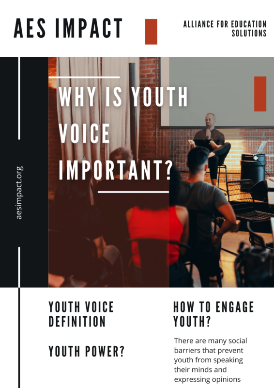 Why is youth voice important